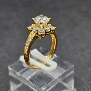 cr trg b.vg doc chim pj