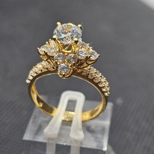 cr trg cao thoi nhonj 2dt pp