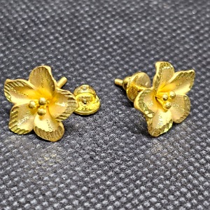 bg24 van cuc cm ht23