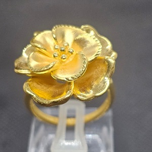 cr24 thoi 2tag h2j999